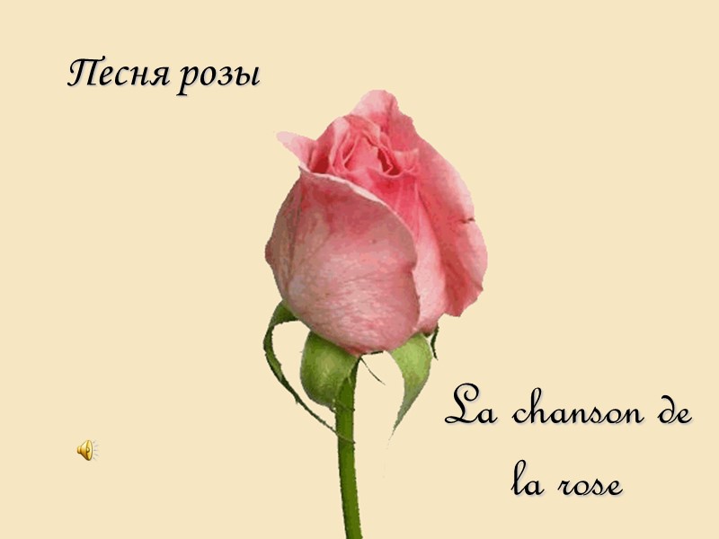 Песня розы La chanson de la rose